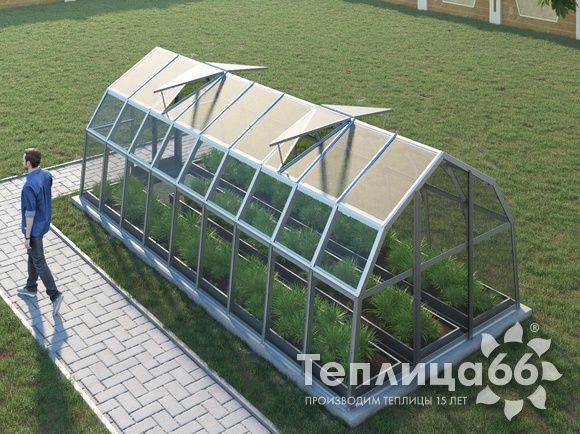 Теплица Рада Нева под стекло, 2,65х6 метров