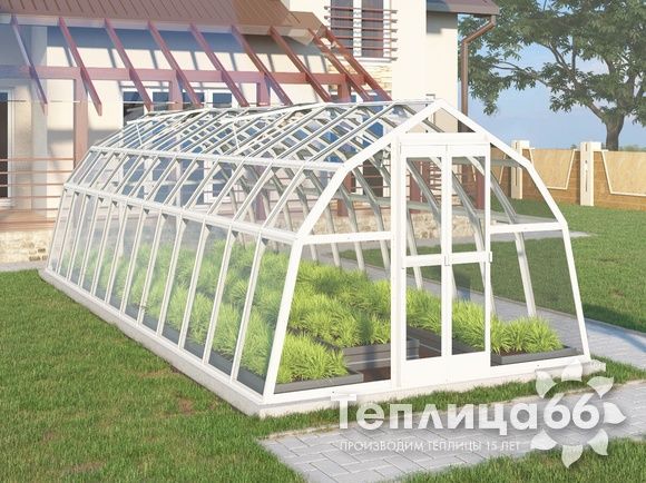 Теплица Рада Волга под стекло, 3х8 метров, белая