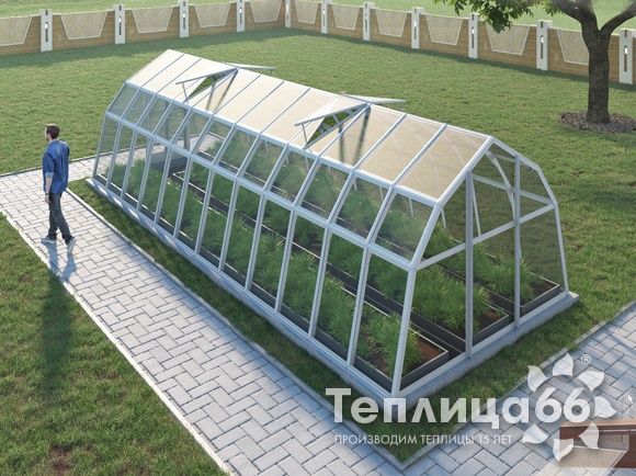 Теплица Рада Волга под стекло, 3х8 метров, белая