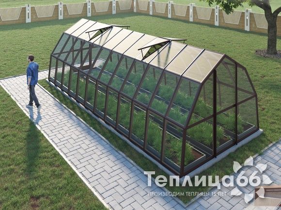 Теплица Рада Исеть под стекло 3х8 метров, коричневая