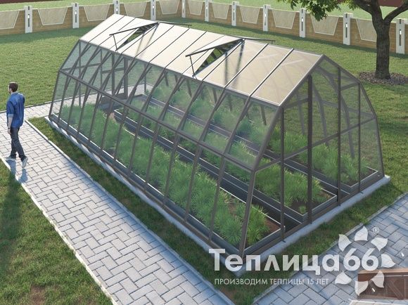 Теплица Рада Енисей под стекло, 4х8 метров, графитовая