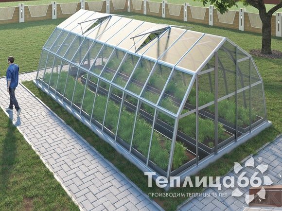 Теплица Рада Енисей под стекло, 4х8 метров