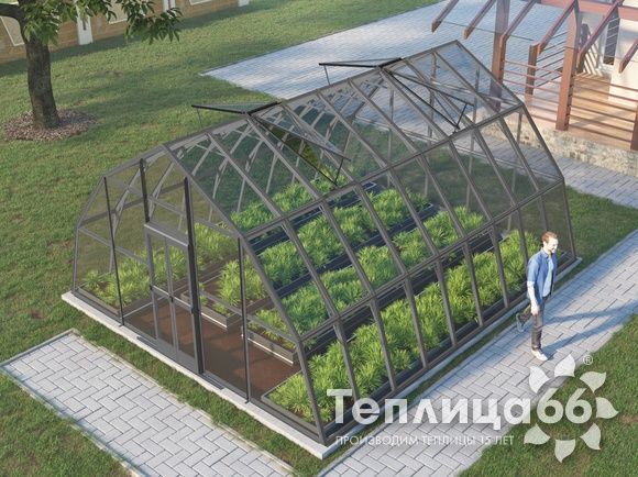 Теплица Рада Амазонка под стекло, 5х6 метров, графитовая