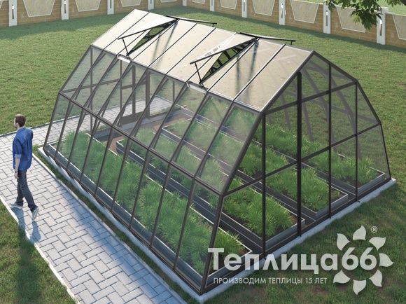 Теплица Рада Амазонка под стекло, 5х6 метров, графитовая