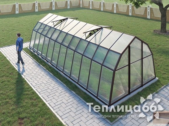 Теплица Рада Байкал из поликарбоната, 3x8 метров, коричневая
