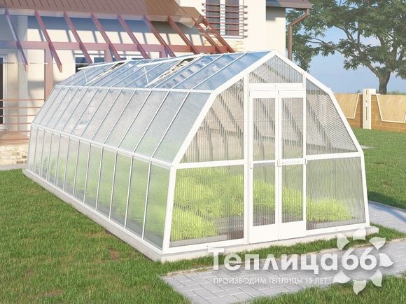 Теплица Рада Рица из поликарбоната, 3x8 метров, белая