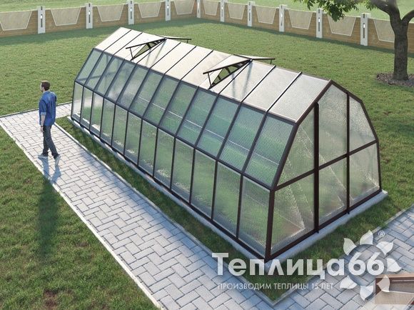 Теплица Рада Рица из поликарбоната, 3x8 метров, коричневая